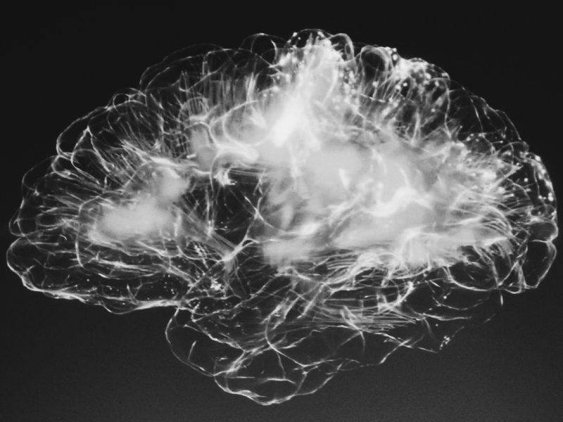 Les neuro-sciences expliquent et valident le fonctionnement des pratiques psycho-corporelles, telles la&nbsp;Sophrologie